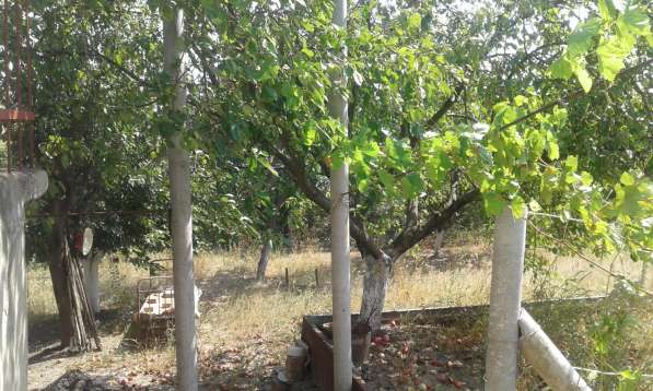 Срочно Продам дом (дача) в фото 28