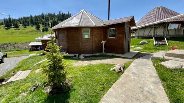 Горный отель "Алаколь - Жыргалан". Кумысолечение на джайлоо в фото 10