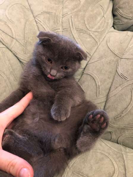 Британец в Москве