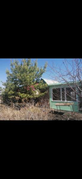 Дача СНТ ФИАЛКА в Омске фото 6