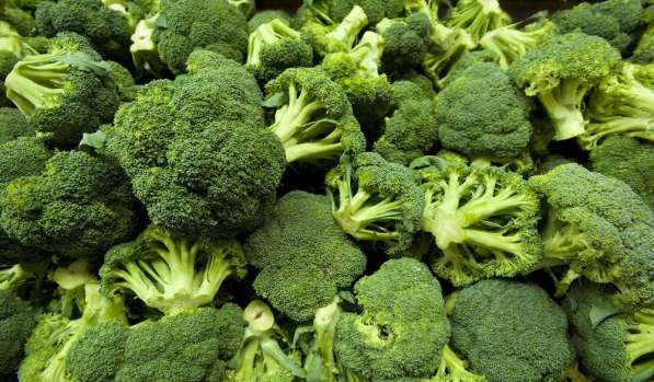 Иранские овощи и фрукты оптом в Москве фото 6