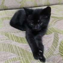 Малышка в добрые руки, в г.Минск