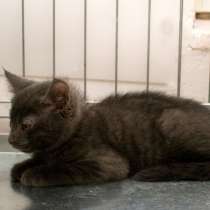 Эти глаза вынесли столько боли, в Москве