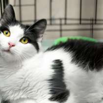 Очаровательная Милка мечтает вновь обрести друга, в Москве