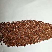 Семена льна-долгунца, в Альметьевске