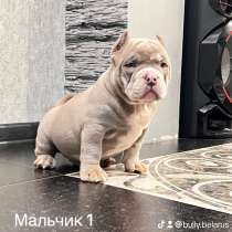 Амбулли, в г.Минск