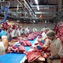 Ирландия. Приглашаются рабочие на мясокомбинат, 2100 евро, в г.Кишинёв