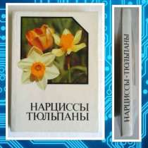 Нарциссы. Тюльпаны. Альбом-справочник, в Москве