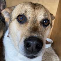 Заберите меня из приюта! Я жду этого всю свою жизнь&hellip; (, в Москве