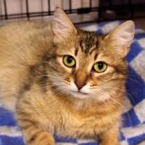 Контактная Айда ищет преданного друга, в Москве