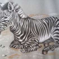 Зебра, в Москве