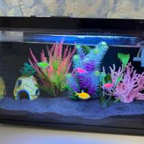 Умный аквариум xiaomi, в Богдановиче