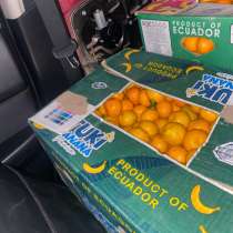 Мандарины из Абхазии опт розница, в Белореченске