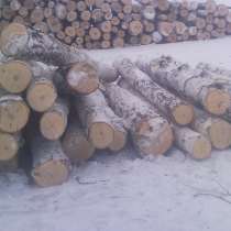 Пиловочник (круглый лес) березы и осины. 桦木和白杨的锯木厂（圆形森林）, в Новосибирске