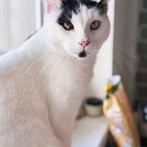 Йогурт — не про еду, а про любовь!, в Москве