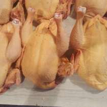 Продажа тушки бройлеров, в Нальчике