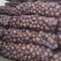 Картофель оптом под мойку, в Москве