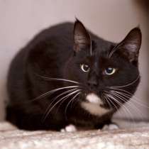 Майкл надеется на встречу с добрыми хозяевами, в Москве