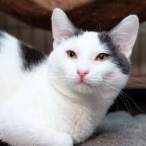 Подарите дом малышу Артуру, в Москве