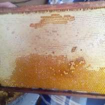 Мед в сотах на пчелиной рамке, в Москве