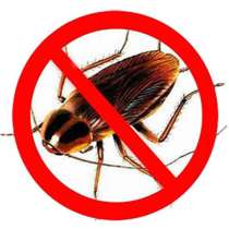 Уничтожение насекомых, в Москве