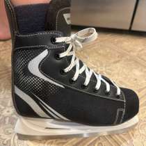 Мужские коньки, в Дмитрове