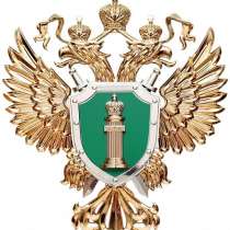 Адвокат по судам из-за ОСАГО (ДСАГО, КАСКО) в Ростове, в Ростове-на-Дону