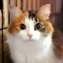 Красавица Иринка надеется на сказочную удачу, в Москве