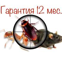Уничтожение тараканов клопов блох муравьев и других насеком, в Ставрополе