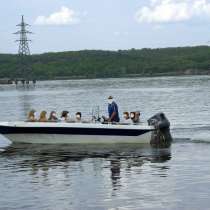 Вместимость моторных яхт до 9 пассажиров стоимость от 3000 р, в Воронеже