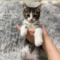 1 девочка остальные пацаны, в г.Россошь