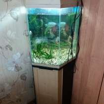 Продам аквариум, в Вологде