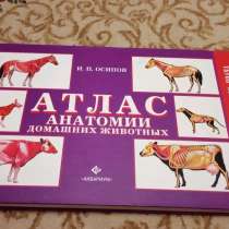 Атлас анатомии домашних животных, в Челябинске