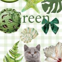 Обои на телефон, в Боровичах