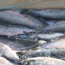 Свежемороженая Рыба, ОПТ цены, в Санкт-Петербурге