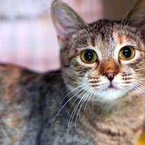 Нежная Квина ищет человека, который подарит ей дом, в Москве