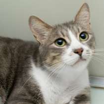 Вы запомните встречу с Алезией, в Москве