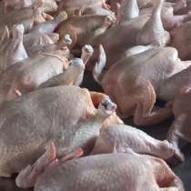 Натуральная и качественная продукция, в Боровичах