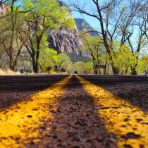 Юридические услуги при авто спорах, в Самаре