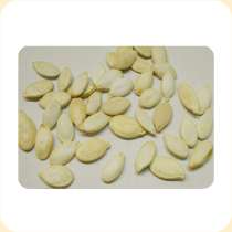 Семечка тыквы 11 стофунтовка высший сорт, в г.Одесса