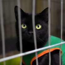 Фонда ищет дом, где её будут защищать, в Москве