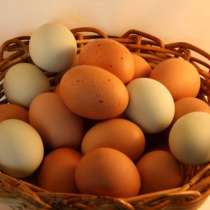 Продаю яйцо куриное от домашних кур, в Анапе