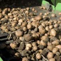 Продам сельхозпредприятие, кфх, выращивание картофеля, произ, в Кемерове