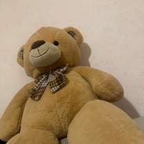 Плюшевая мишка, в Москве
