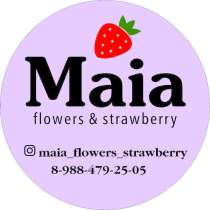 Графический дизайнер, в Майкопе