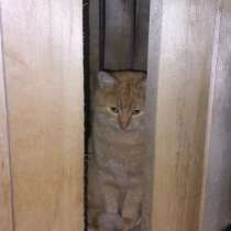 Срочно нужна помощь!, в Краснодаре