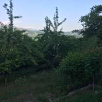 Земельный участок Хоста, Каштаны, в Сочи