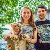 Фотосессия с обезьянкой, в Москве