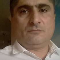 Шпаклевшик моляр, в Москве