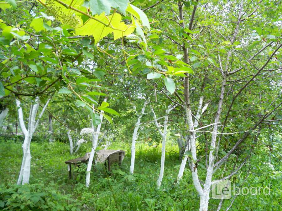 Купить Дом Участок В Ессентуках